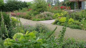 Hosta Sum and Substance in front at Viller the Garden
