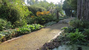 Tank Garden