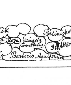 Detail of a Gertrude Jekyll plant scheme