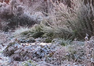 hoarfrost-long-border