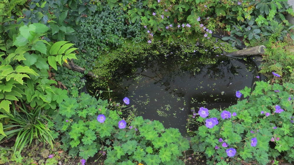 water-feature-tank-garden